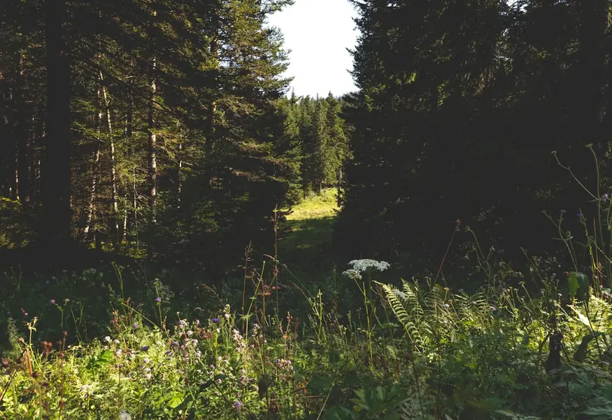 Jura · Schweiz